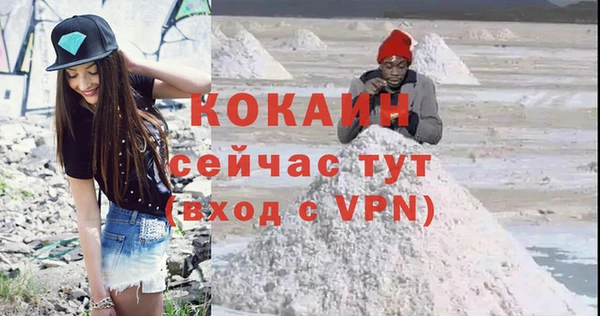 МДПВ Бородино