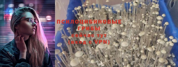 марки lsd Богданович
