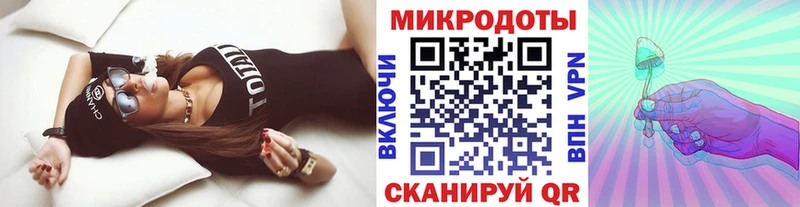Псилоцибиновые грибы Psilocybine cubensis как найти наркотики Старица